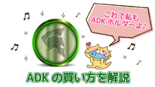 仮想通貨adkは詐欺 スキャム あらゆる面から検証してみた ネオキチブログ